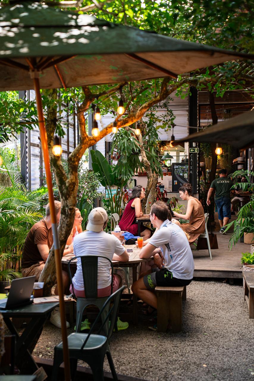 Vista geral do espaço Ginkgo